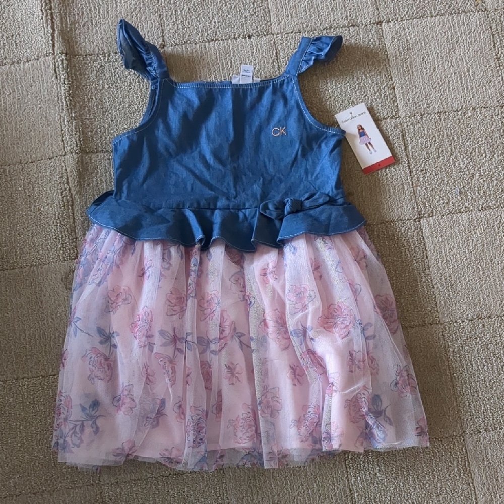 Calvin Klein Blue and Pink Dress